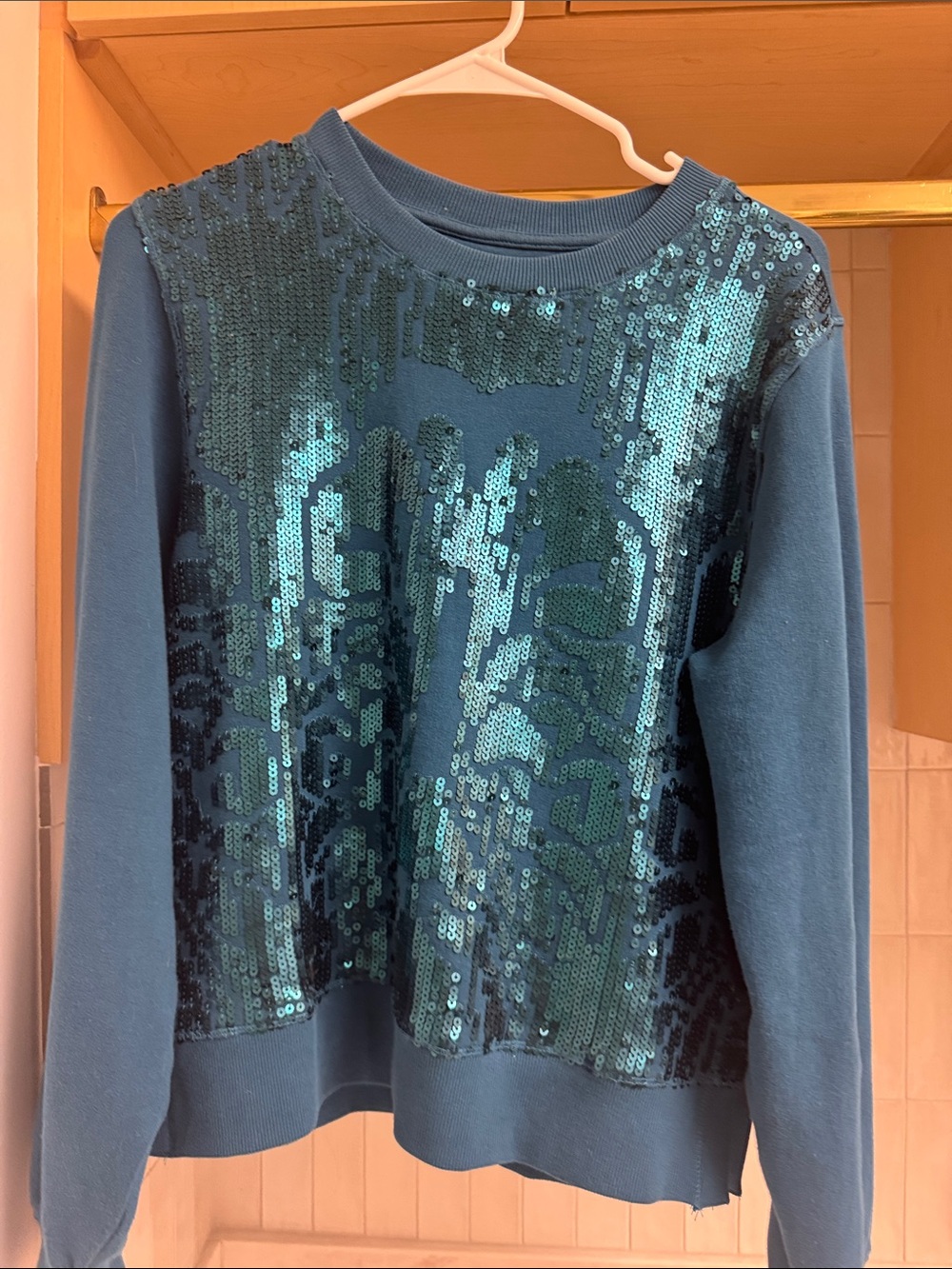 Anthropologie Teal Sequin Front Crewneck Sweater
